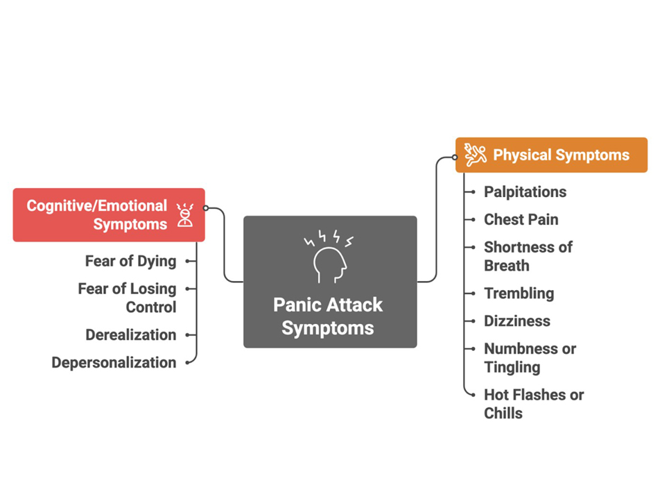 The Panic Attack Survival Guide