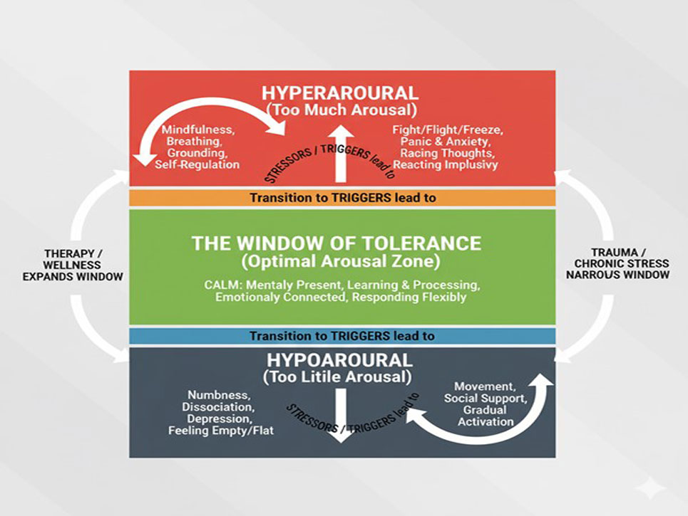Understanding and Expanding Your Window of Tolerance
